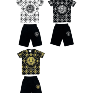 conjunto 1141