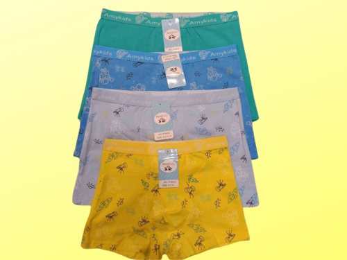 boxer 6022